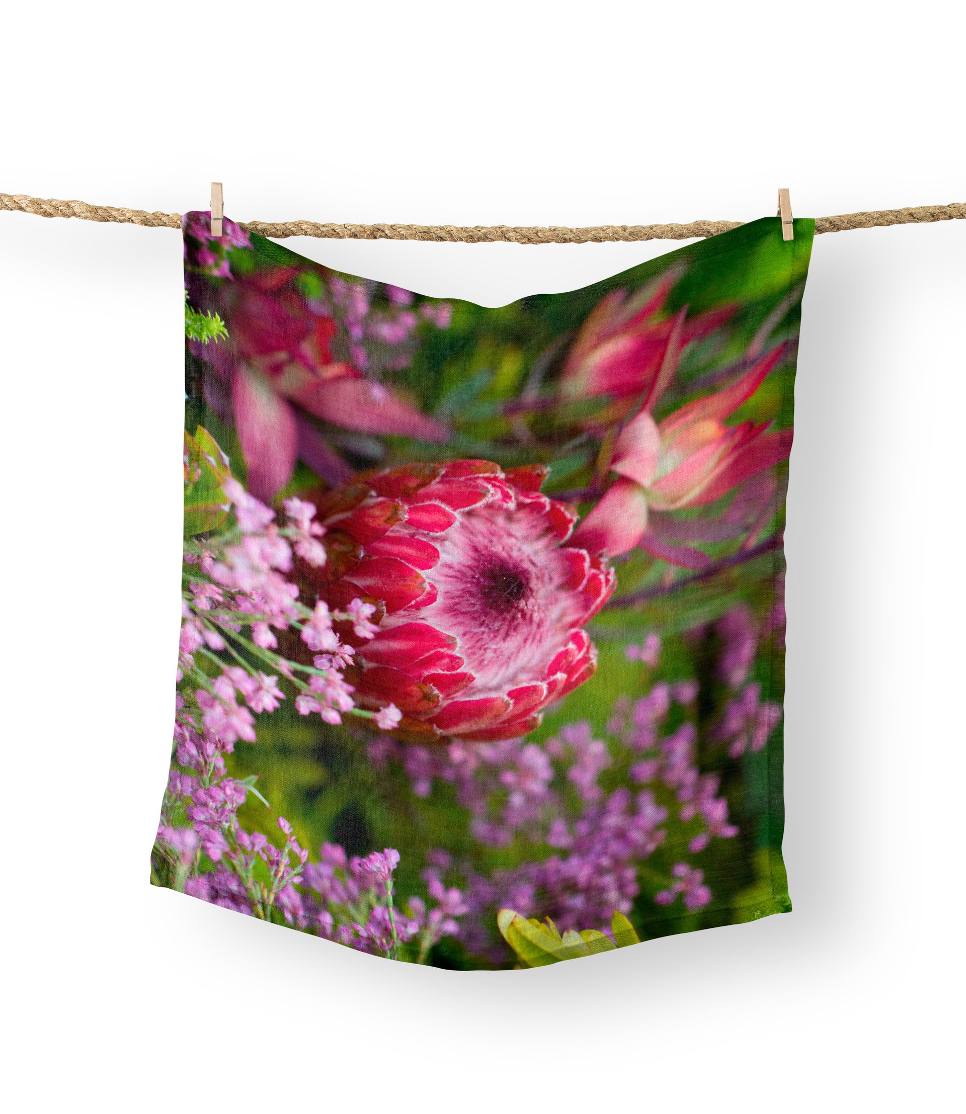 Tea Towels - Wild Protea