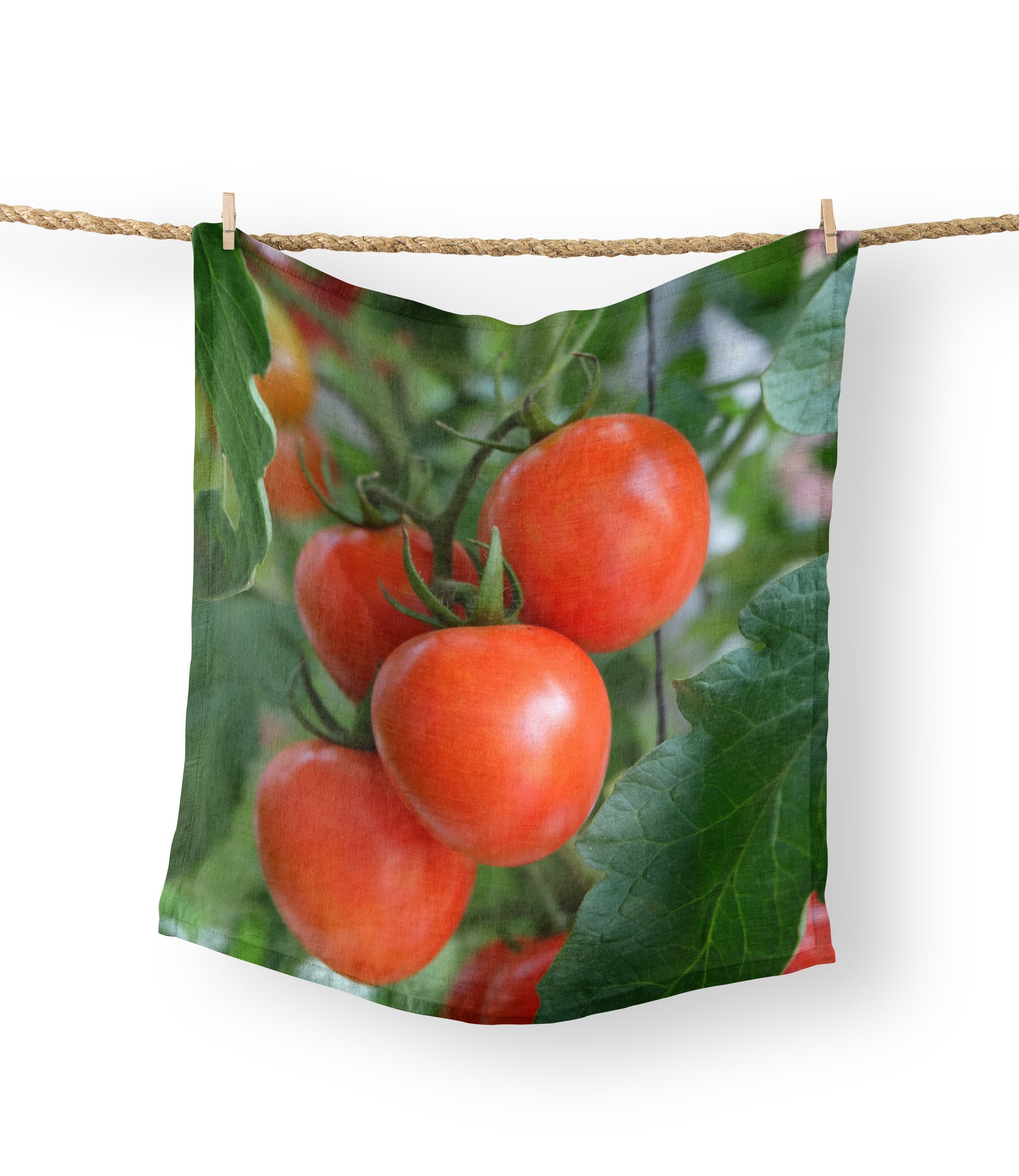 Tea Towels - Tomatoes on a Vine