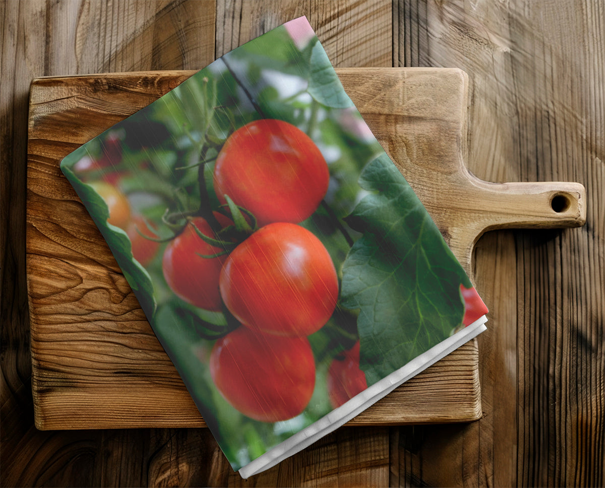 Tea Towels - Tomatoes on a Vine