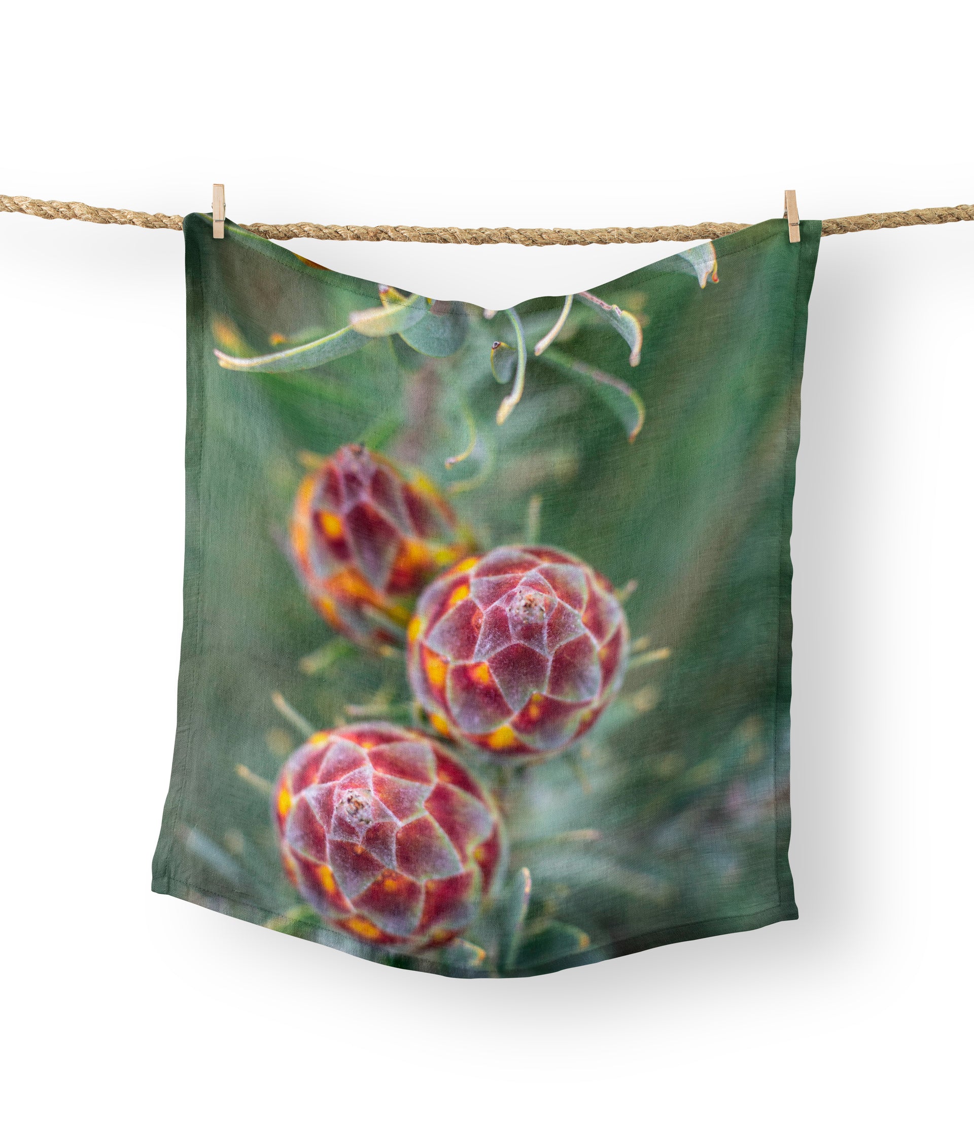 Tea Towels - Wild Fynbos Mountain Protea
