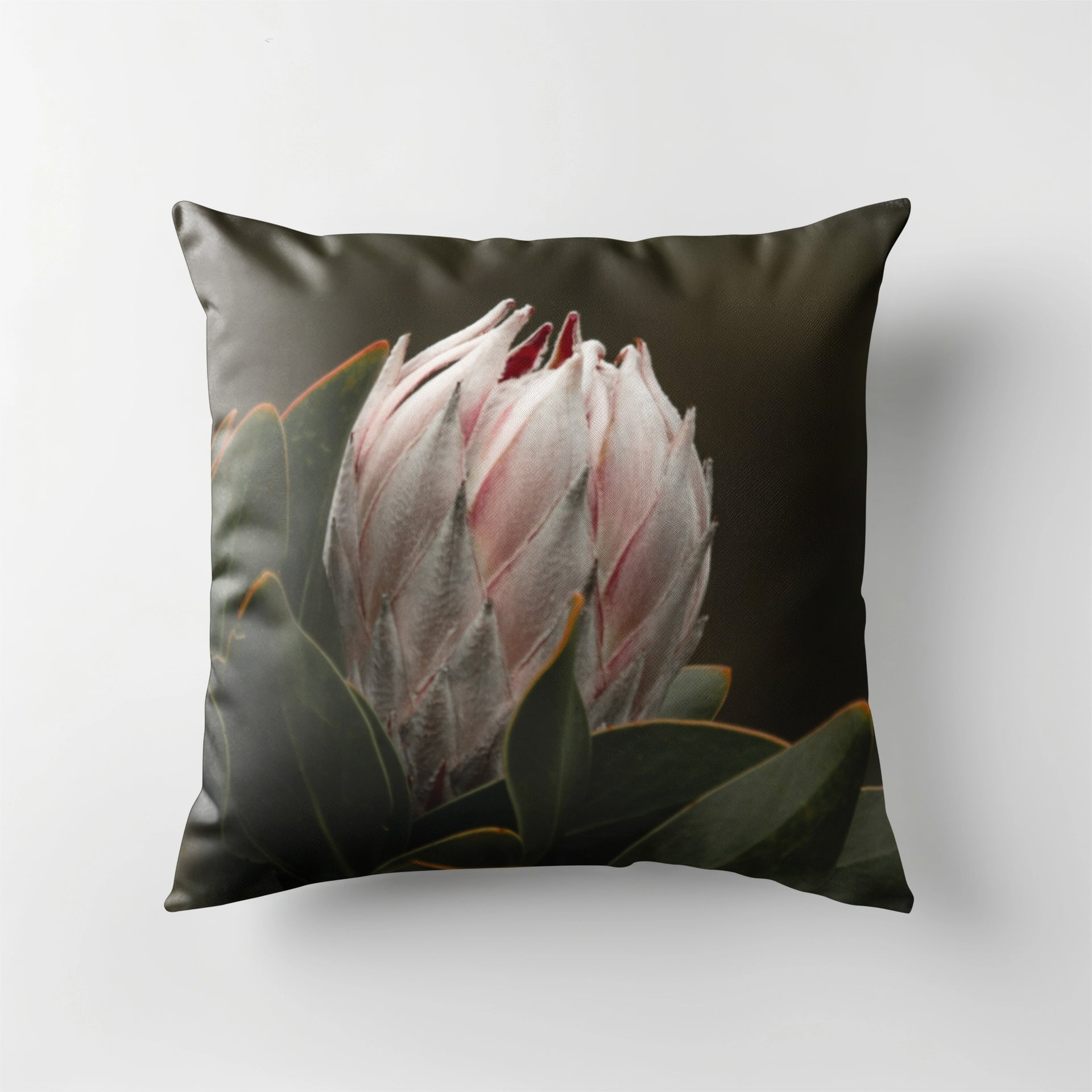 Scatter Cushion - Protea White