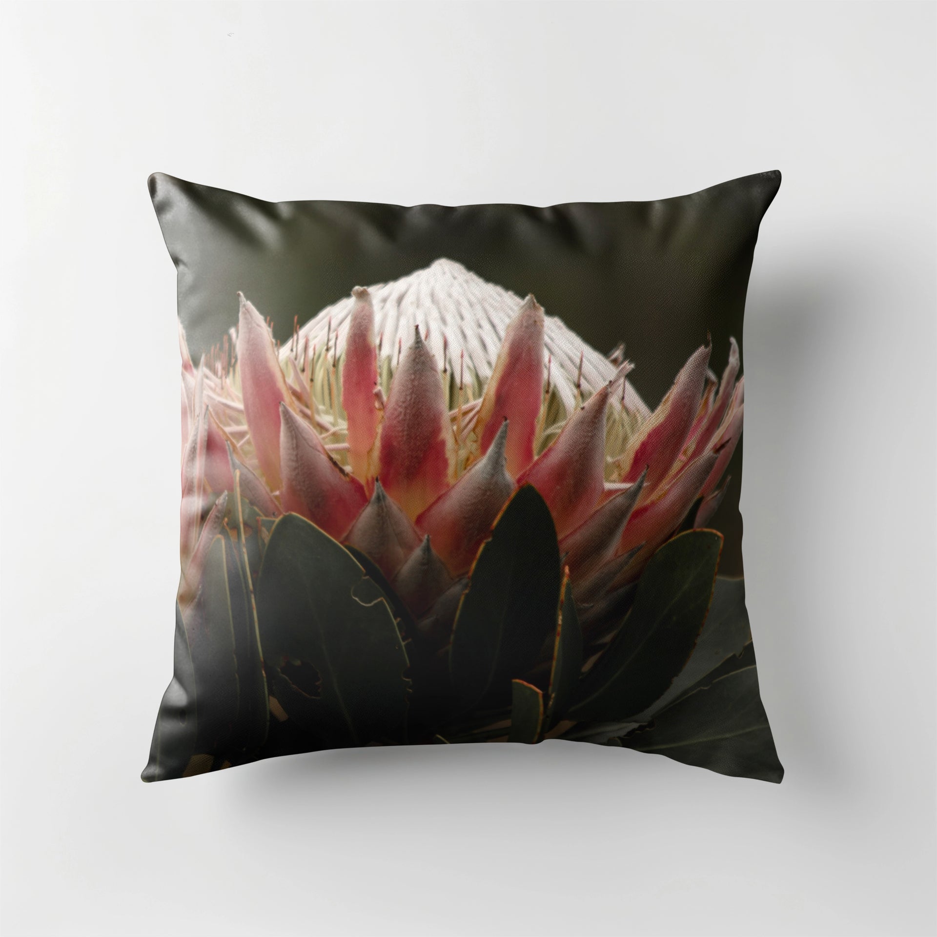 Scatter Cushion Natural Linen - Protea King