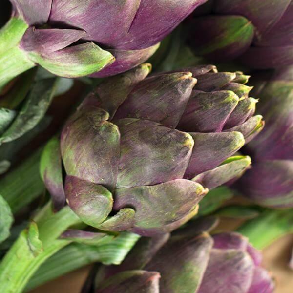 Artichokes print