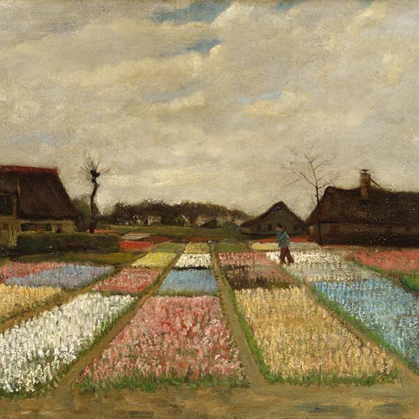 Bulb Fields - Vincent van Gogh 1883 print
