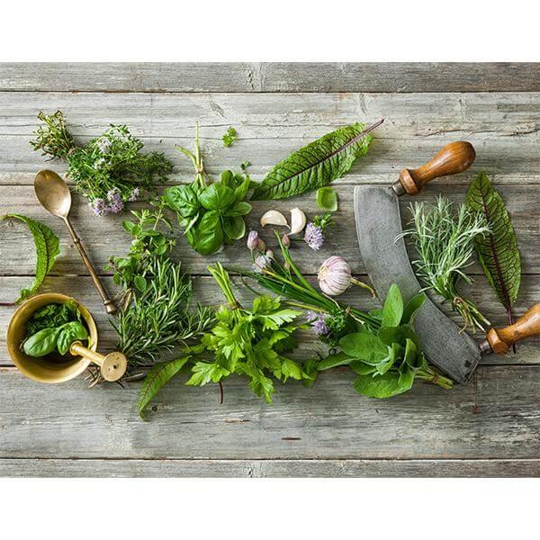 Chopping Herbs print
