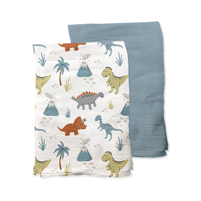 Baby Cuddle Blanket with Dinosaurs Design