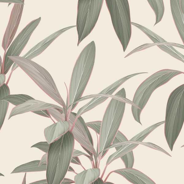 Cordyline fruticosa print
