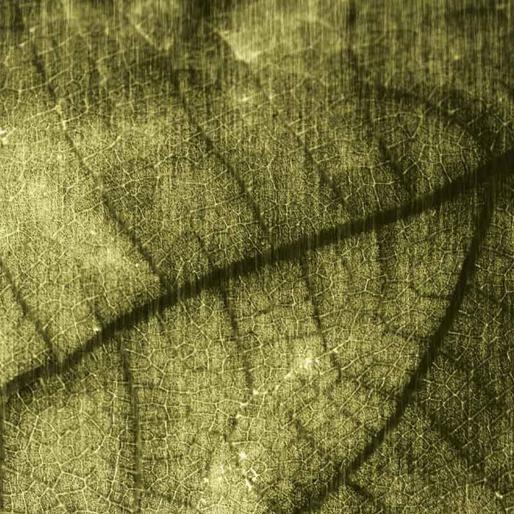 Luxe Scatter Cushion - Delicate leaves pattern - LAPERLE
