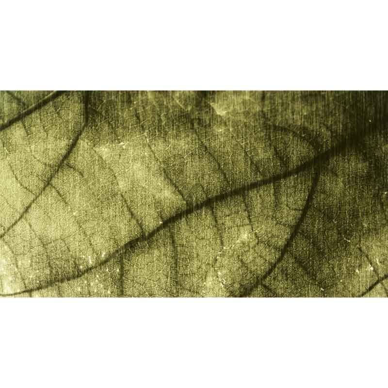 Luxe Rectangular Cushion - Delicate leaves pattern - LAPERLE