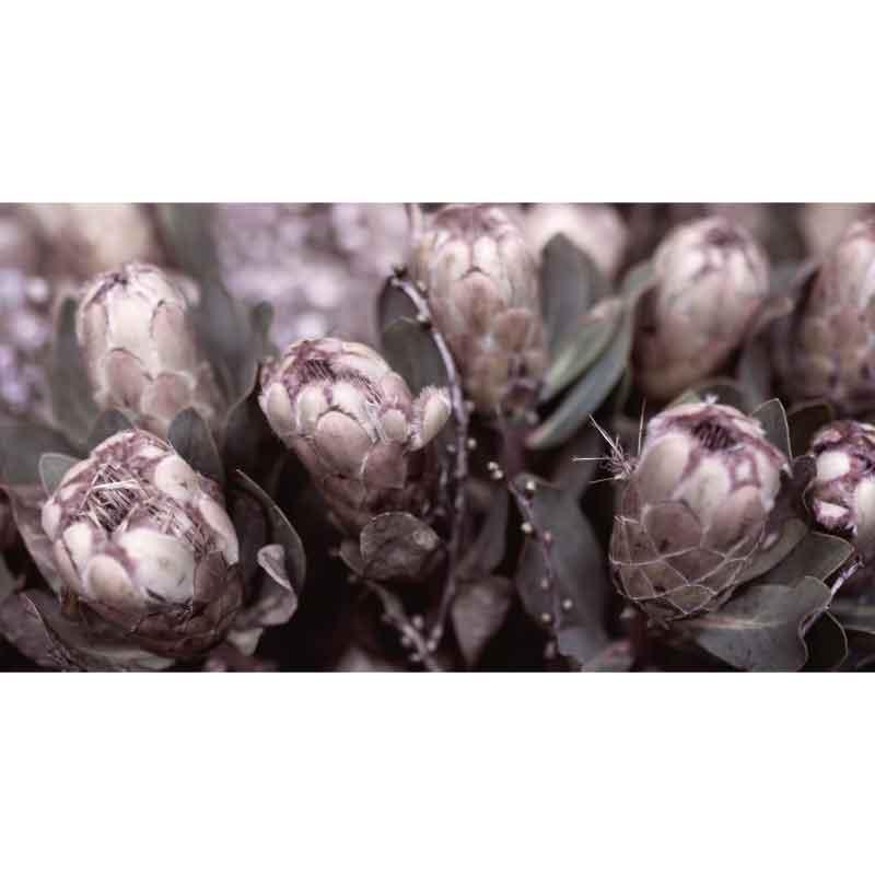 Luxe Rectangular Cushion - Protea bundle - LAPERLE