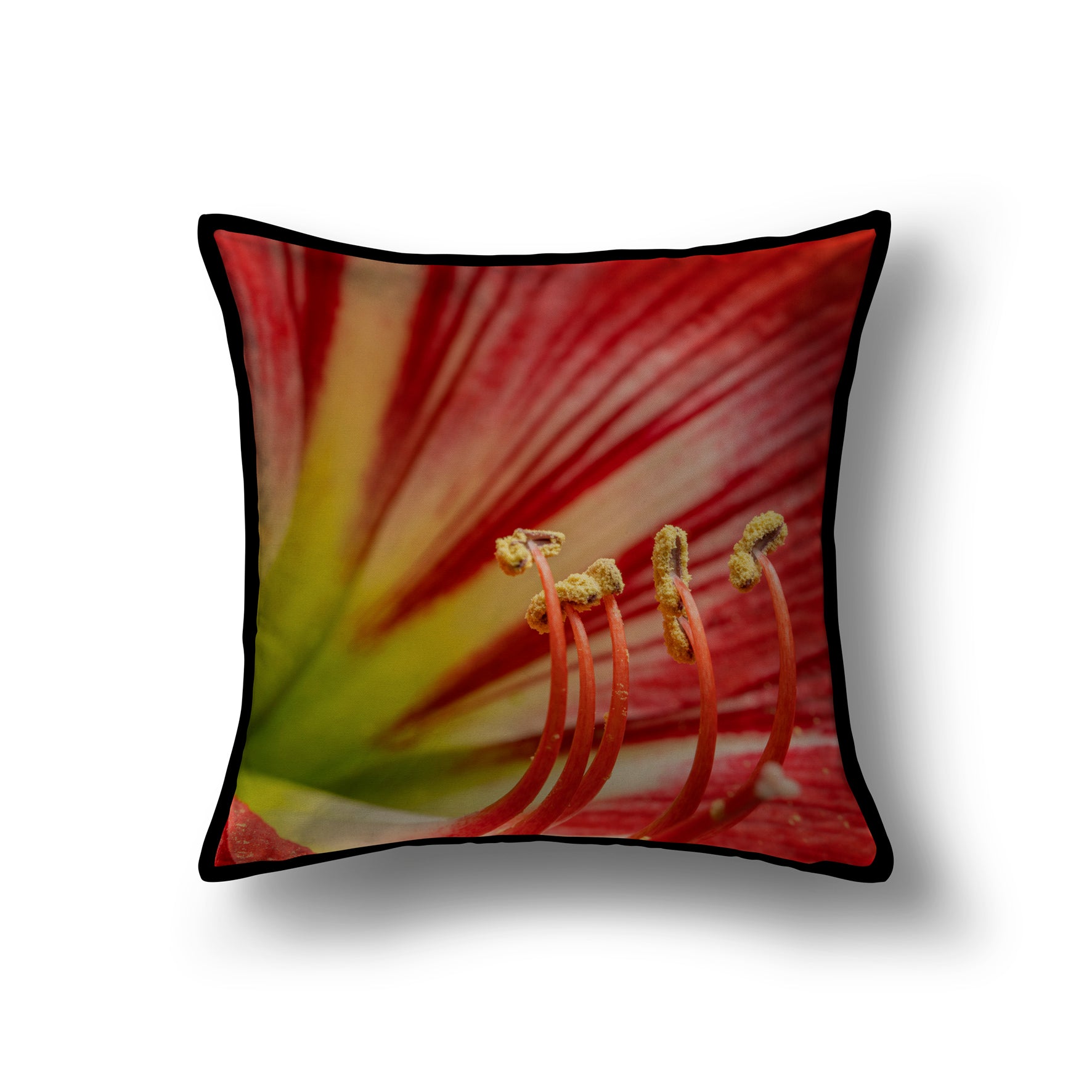 Velvet & Cotton Cushion  - Red Lily