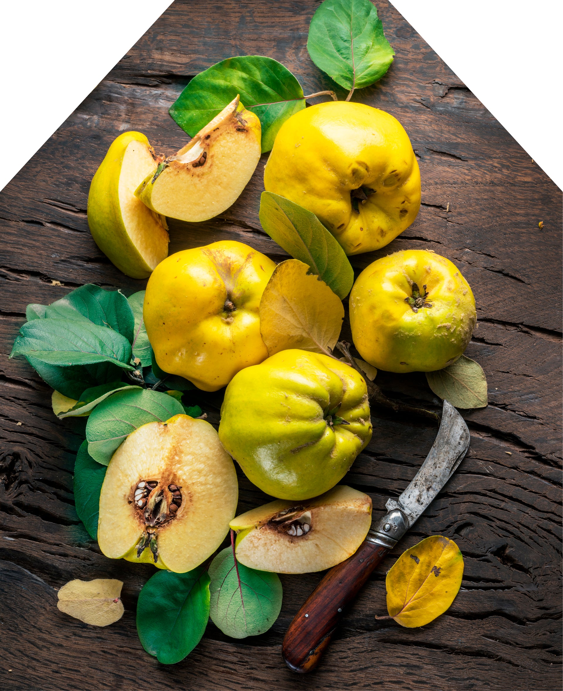 Printed Apron - Quince Fruits on Wood