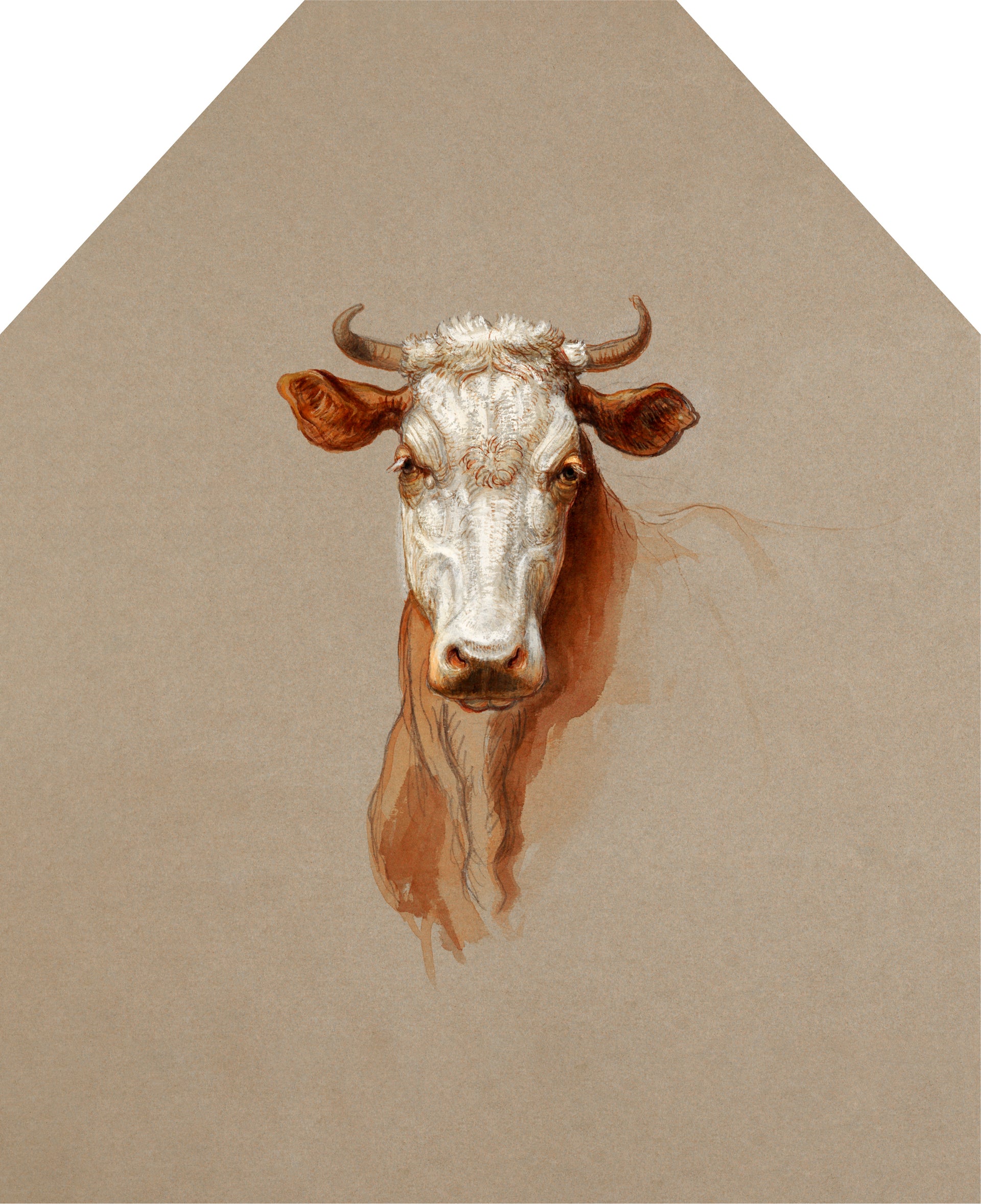 Printed Apron - Two Studies of Cattle - Samuel Colman (1876)