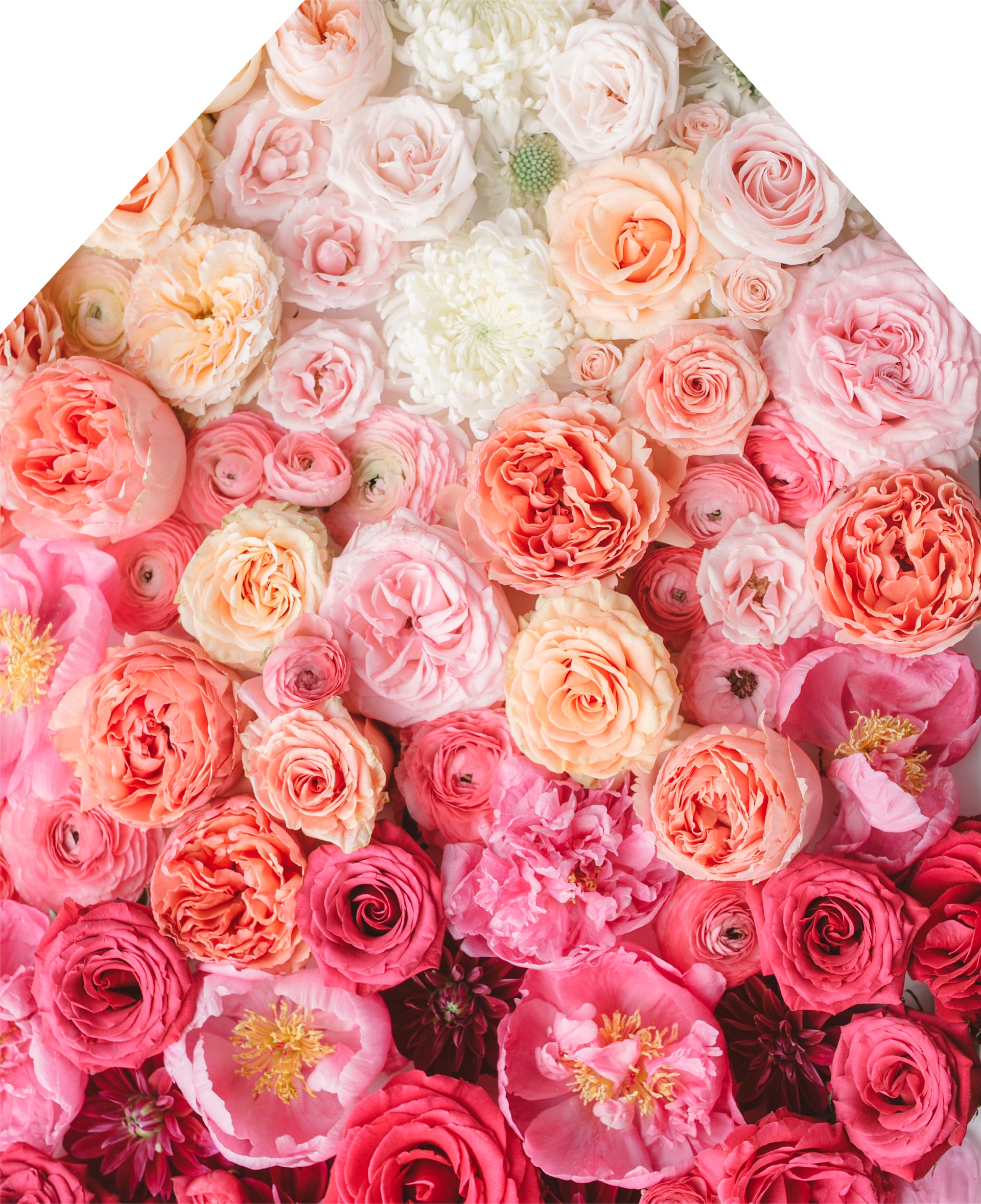 Printed Apron - Peonies Ombre