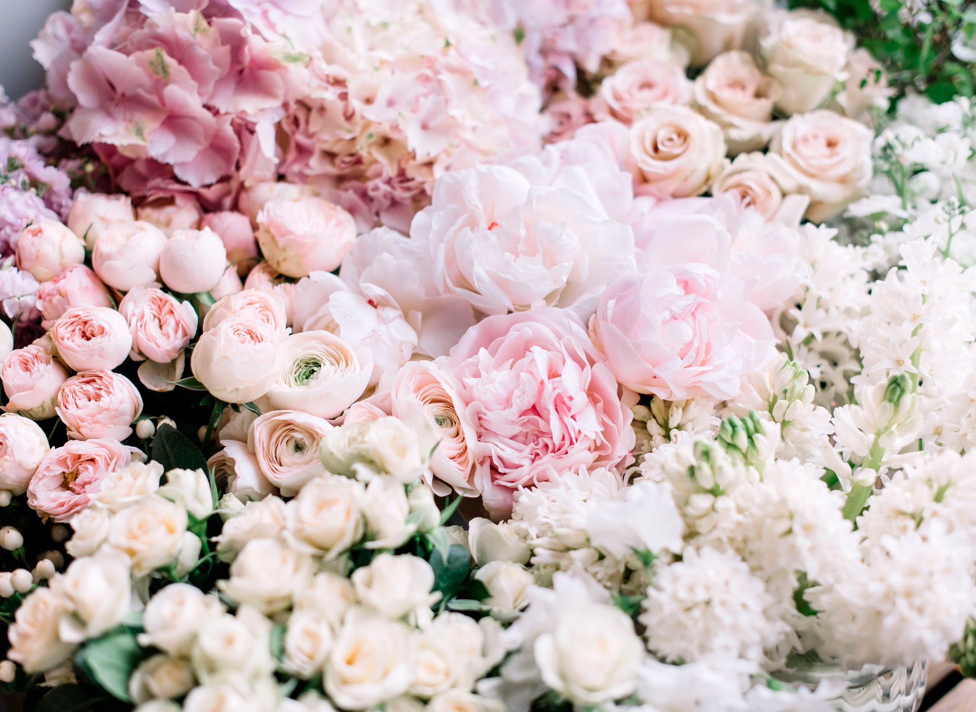 Headboard - Bed of Peonies