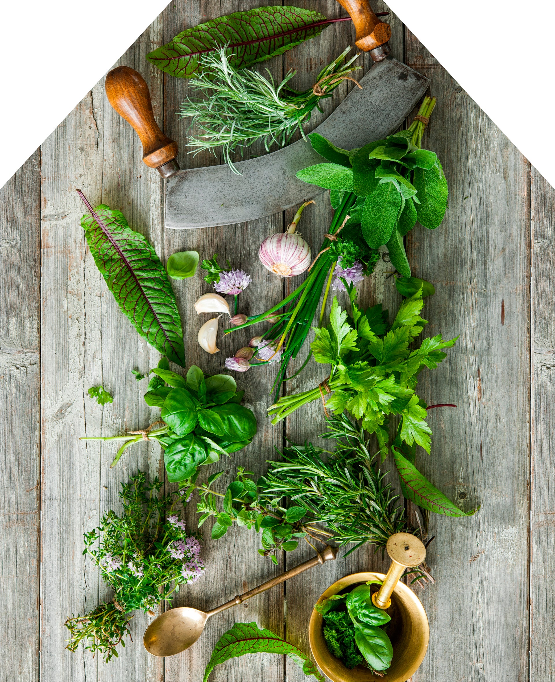 Printed Apron - Chopping Herbs