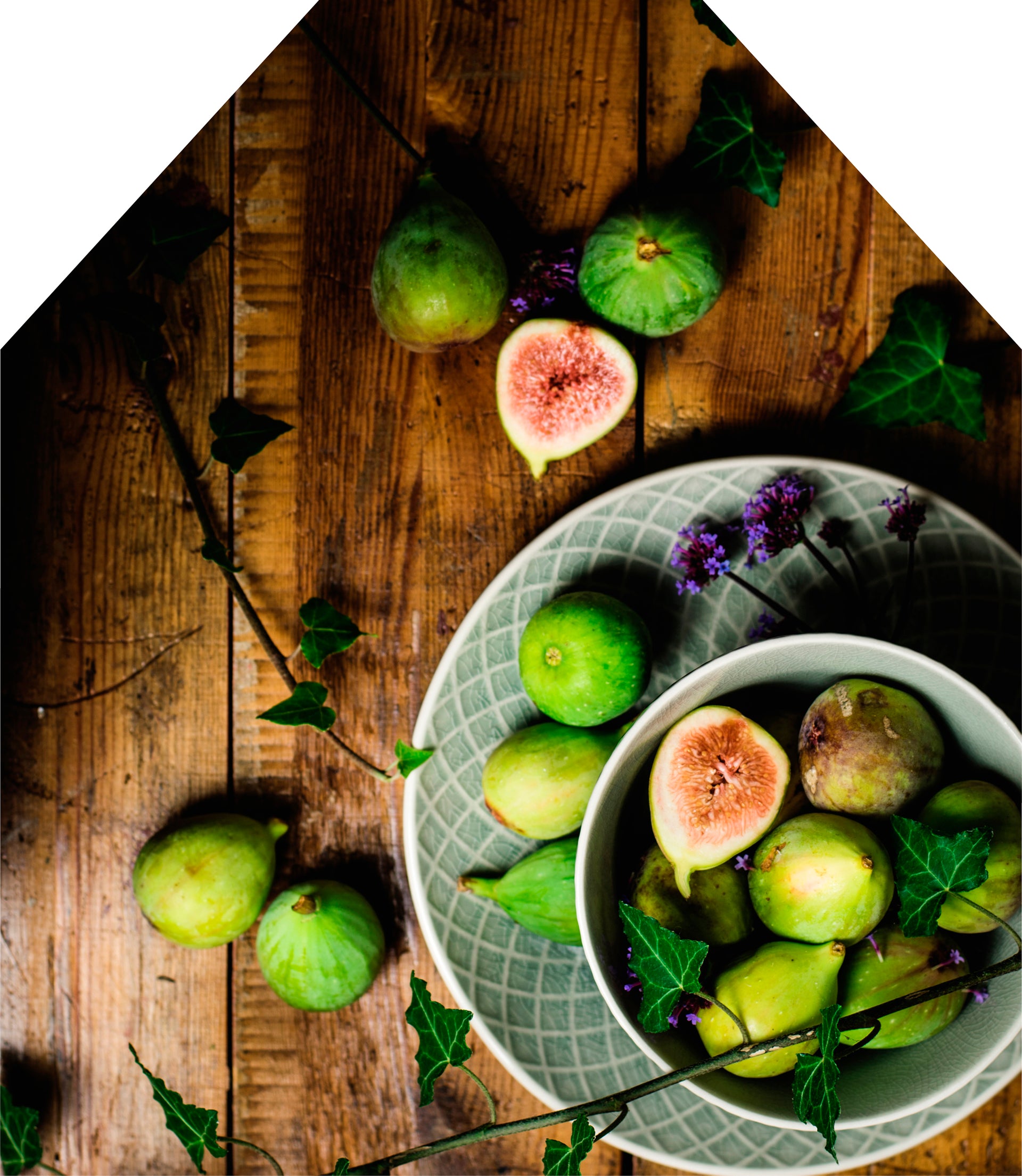 Printed Apron - Figs