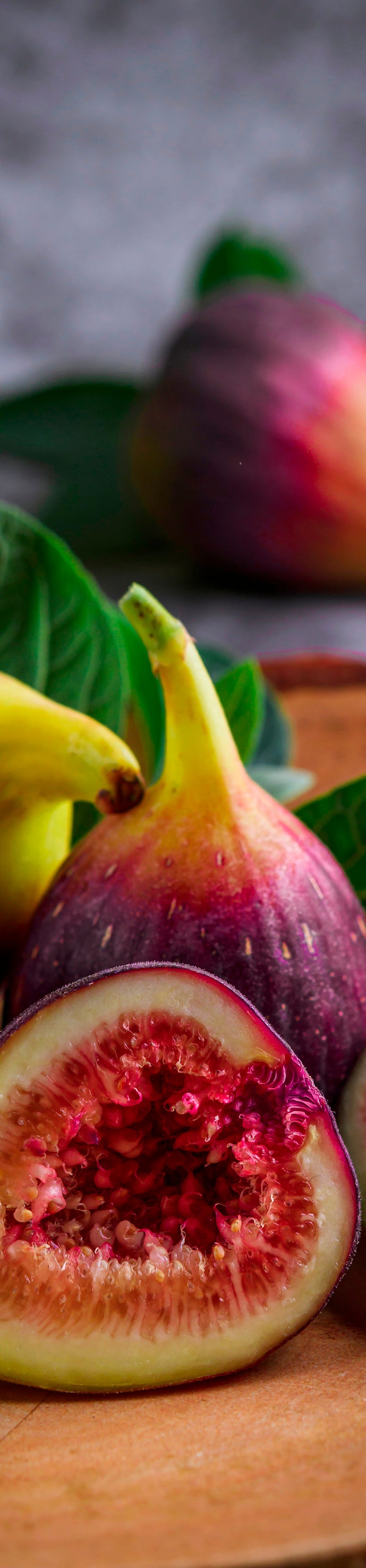 Runner - Figs
