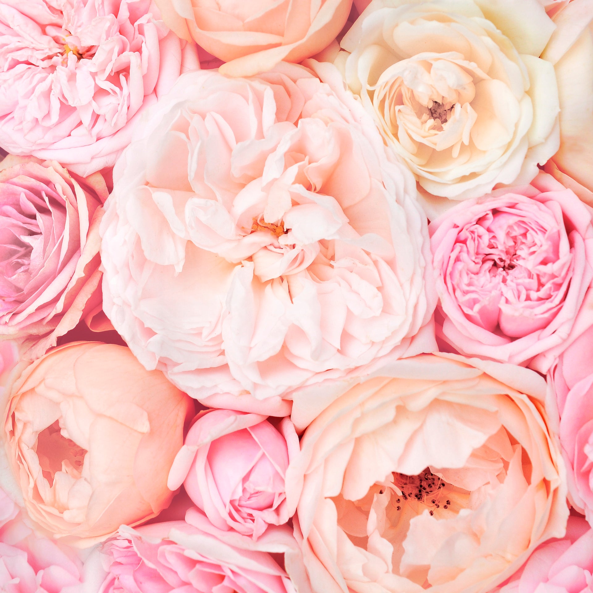 Duvet Cover Set - Floral Peonies Pastel