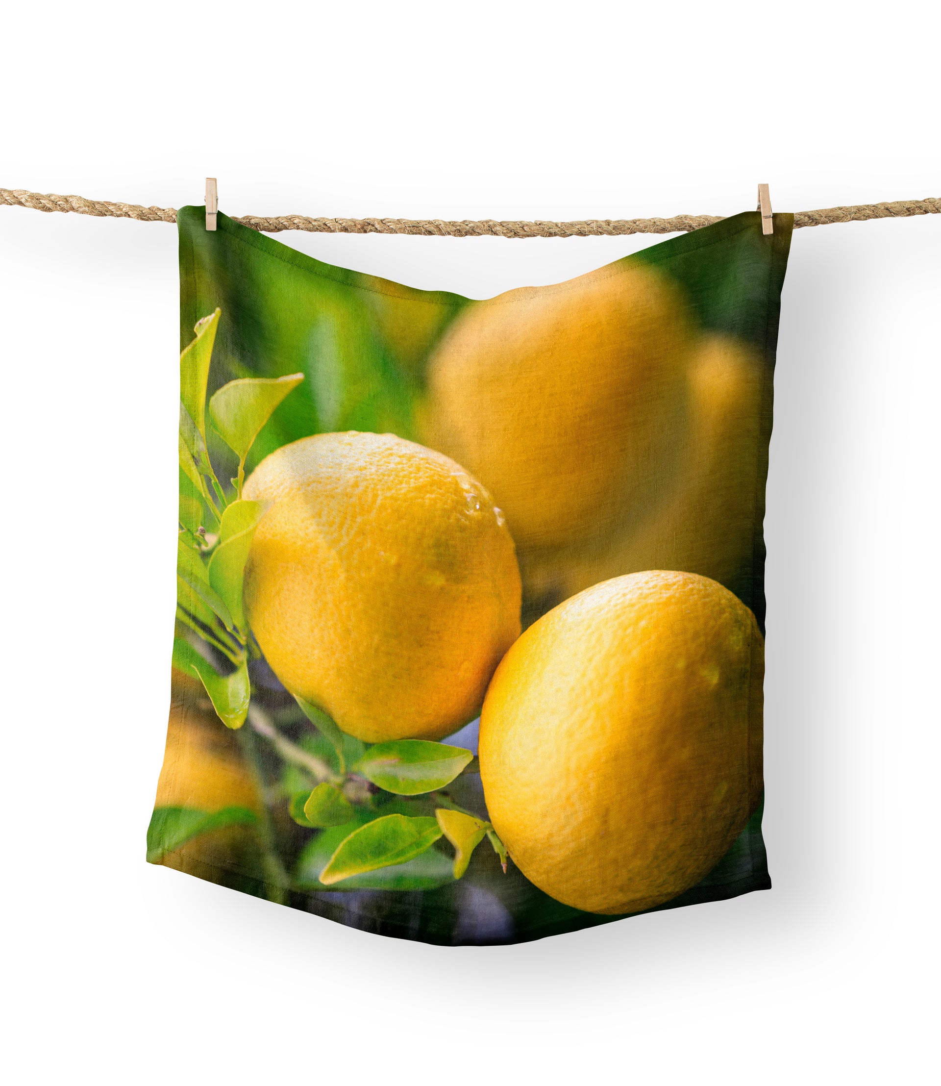 Tea Towels - Lemons on a Tree