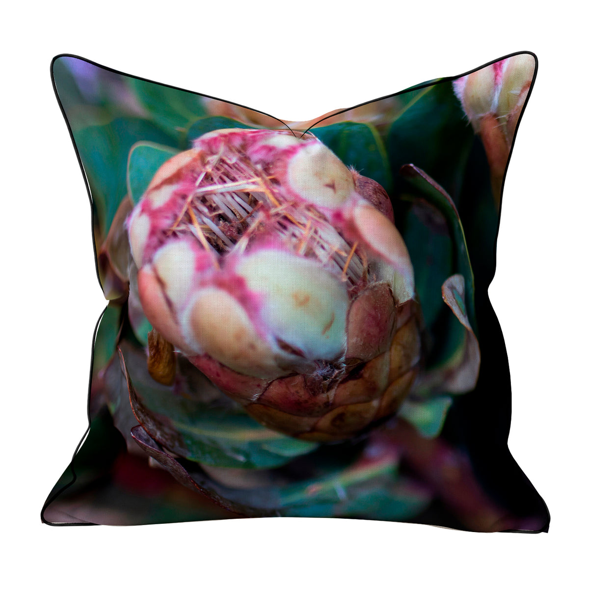 Scatter Cushions  - Single Protea