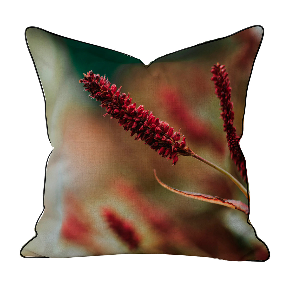 Velvet & Cotton Cushion  - Red Bistort