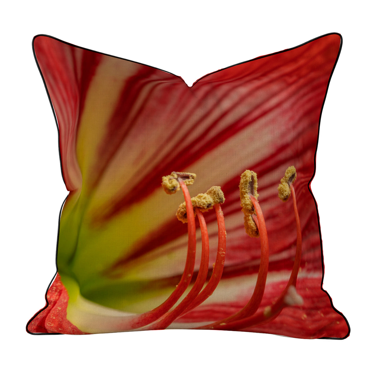 Velvet & Cotton Cushion  - Red Lily