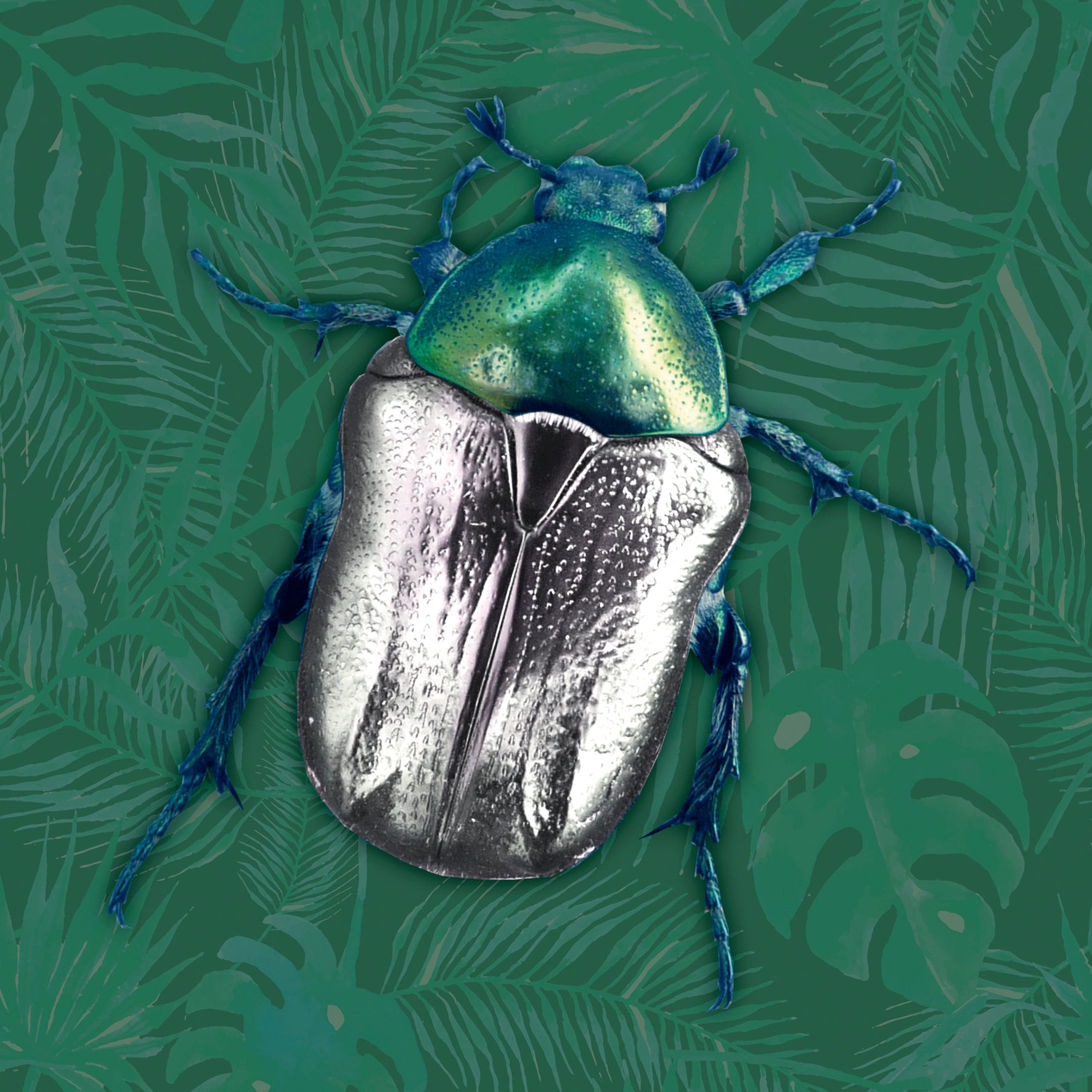 Scatter Cushion  - Green Scarab