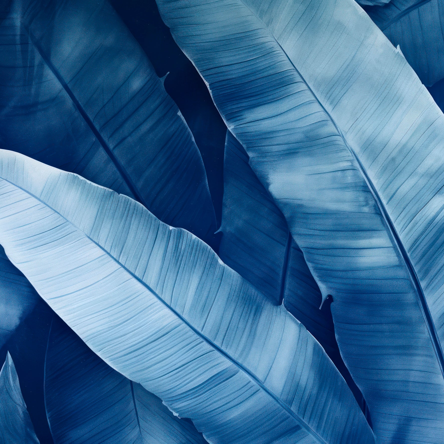 Velvet & Cotton Cushion  - Blue Banana Leaves