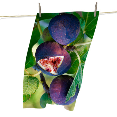Tea Towels - Summer Figs