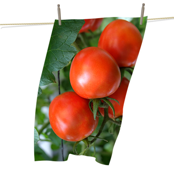 Tea Towels - Tomatoes on a Vine
