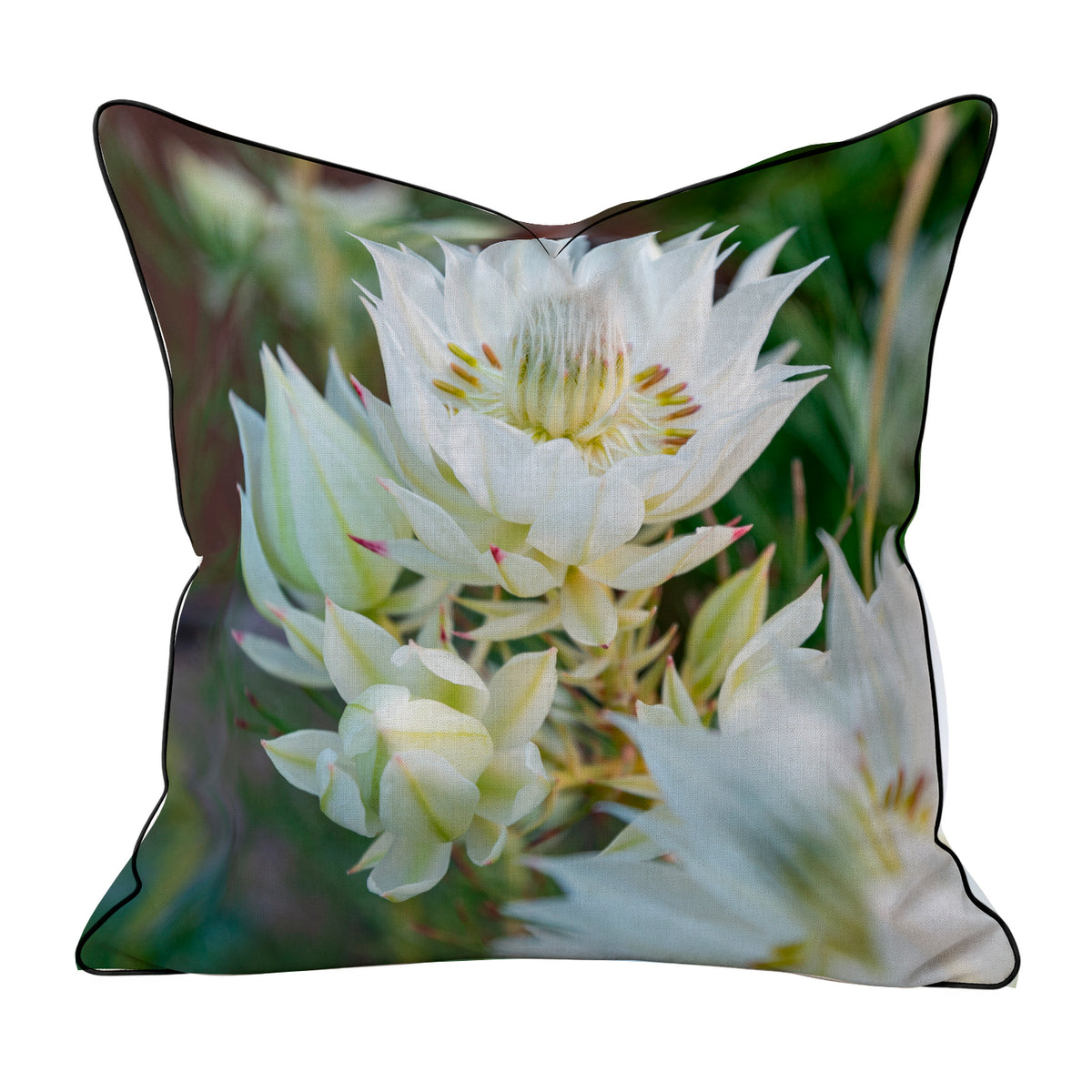 Scatter Cushions  - White Protea