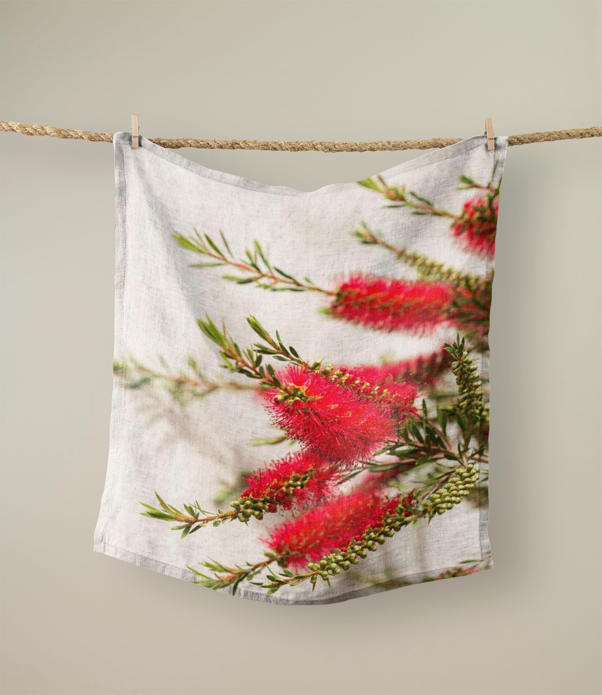 Tea Towels - Bottlebrush
