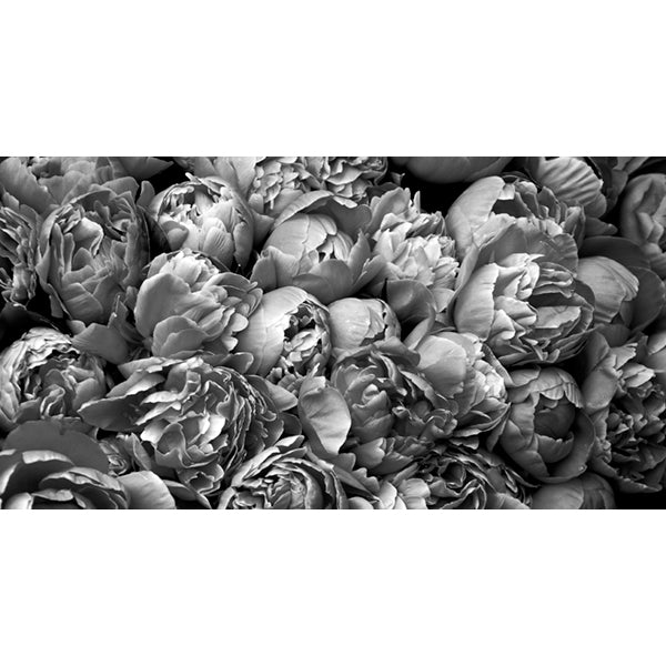 Scatter Cushion  - B&W Peonies