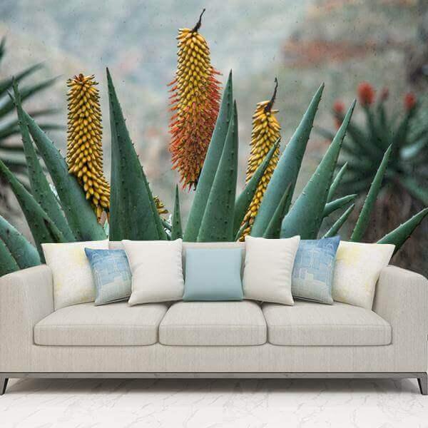 Aloe Ferox wallpaper