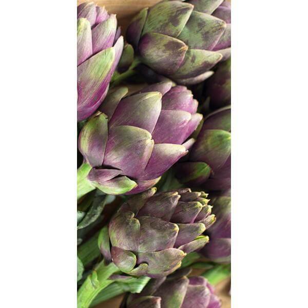 Artichokes print