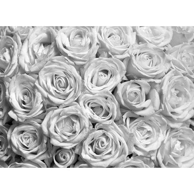 grey roses print
