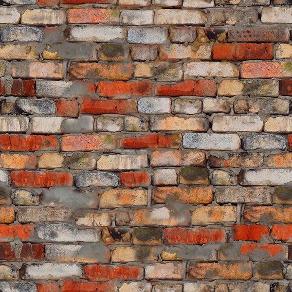 Brick Wall 04 print