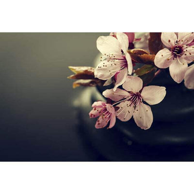 Cherry Blossom print