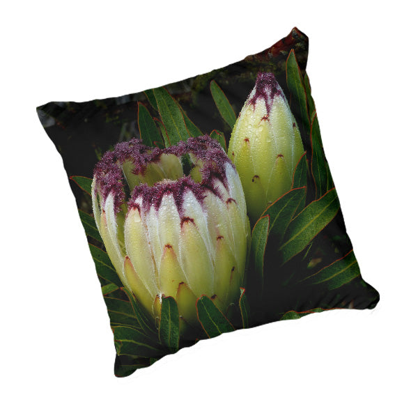Scatter Cushion - Fresh Protea