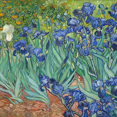 Irises (Vincent Van Gogh) print