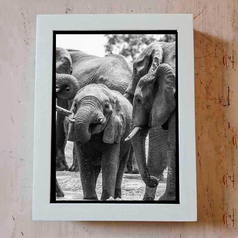 Canvas Elephant Family - LAPERLE