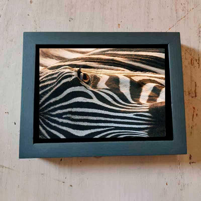 Canvas - Zebra - LAPERLE