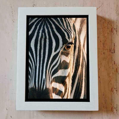 Canvas - Zebra - LAPERLE