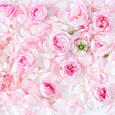 Single Napkin - Tea Roses - LAPERLE