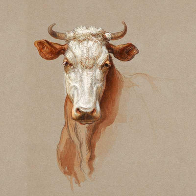 Scatter Cushion  - Two Studies of Cattle -Samuel Colman (1876) - LAPERLE