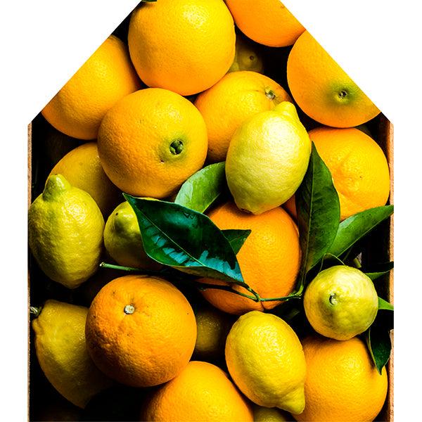 Lemons apron pattern print