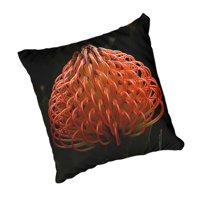 Scatter Cushion - Moody Protea
