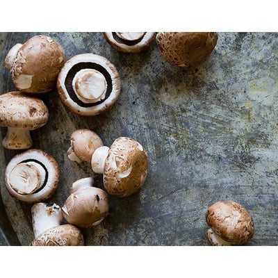 Mushrooms print