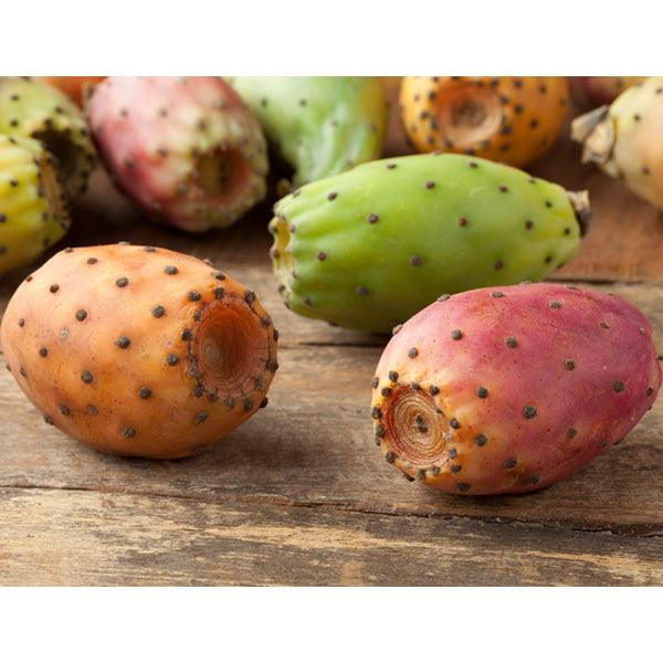 Prickly Pears print